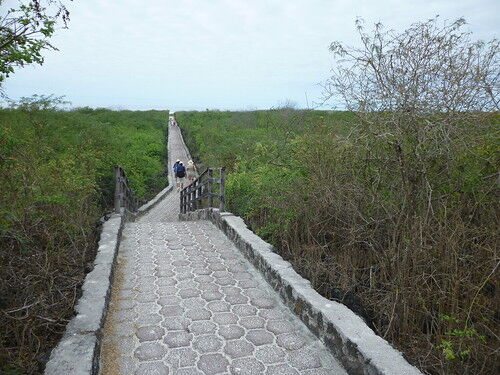 8 Day Explore The Galapagos Paradise FAM Tour Package (for TRAVEL ...