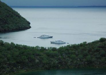 o galapagos cruise corals yacht