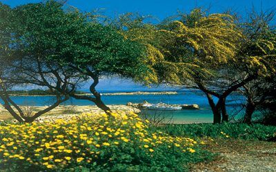 cyprus ammochostos protaras prv o