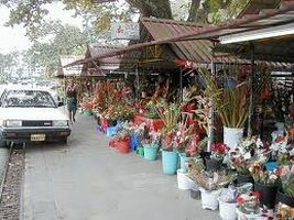 o City Market feat