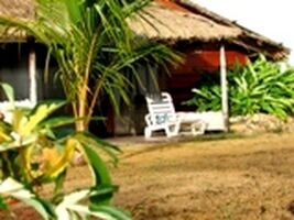 o Paradise Island tour Copy