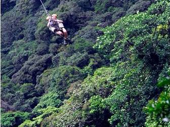 o canopy