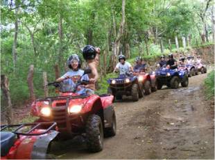 o guanacaste