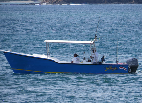 o yellowfin