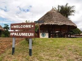 palumneu