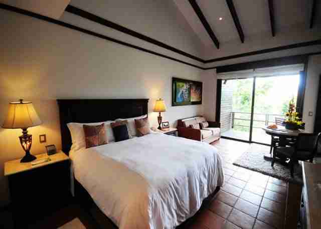 o Rainforest Suite