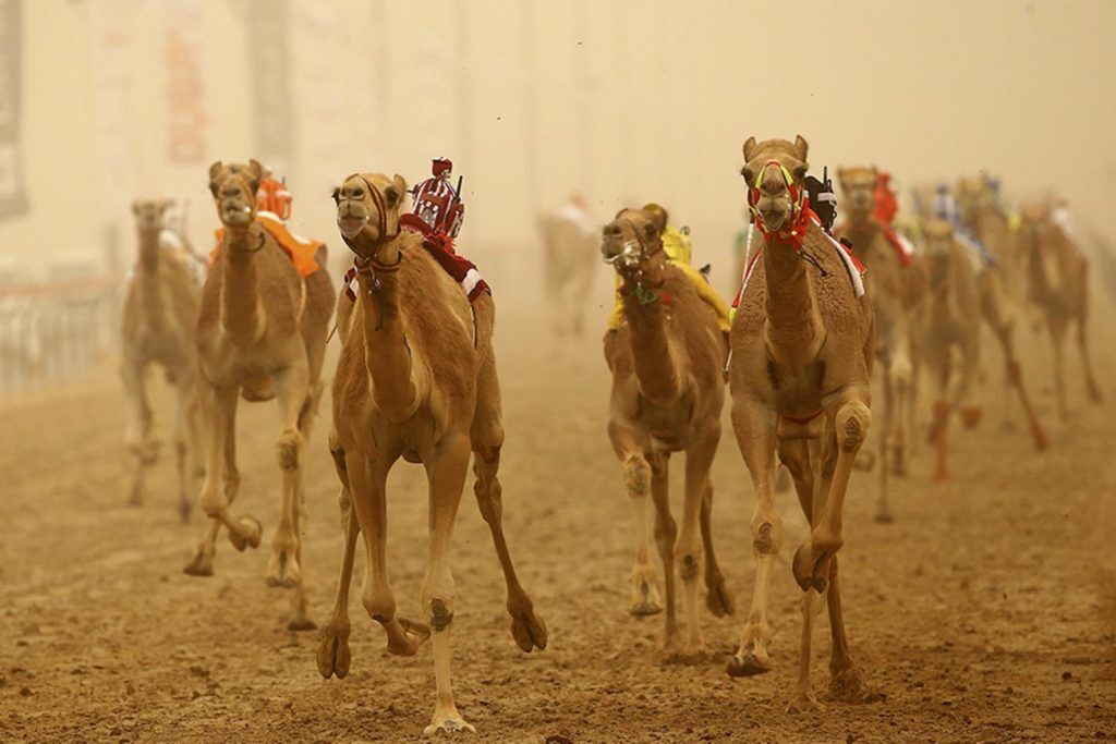 dubai-activ-24-07
